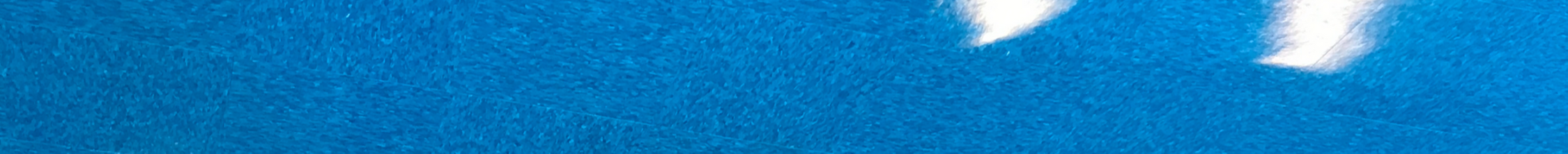 Floor Cleaning Services
